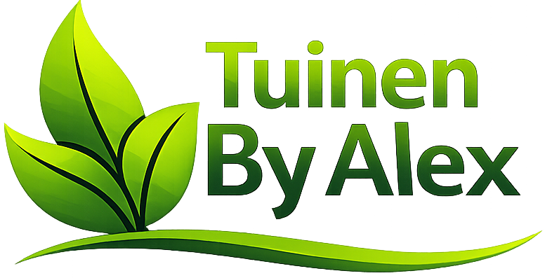 ChatGPT Image 16 feb 2026, 23_48_38